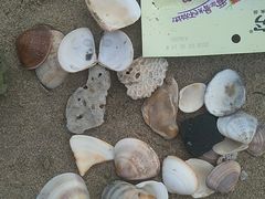 -西涌国际滨海旅游区