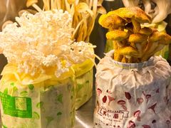-烹然四季椰子鸡火锅(团结湖总店)