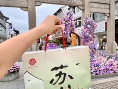 -稻香村(观前街店)