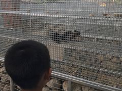 -北戴河集发农业梦想王国