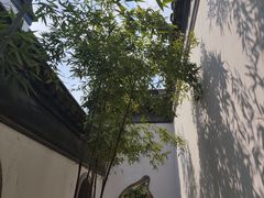 -苏州冶园园林民宿(太湖西山风景区店)
