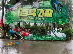 -广州长隆飞鸟乐园