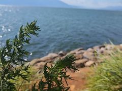 -大理洱海