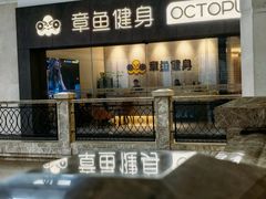 -章鱼健身 Octopus