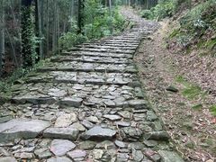 -仙霞关景区