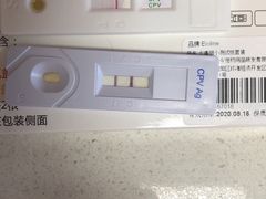 -美联众合爱康动物医院•复杂内科•肿瘤科•牙科•腔镜诊疗中心