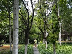 -长春世界雕塑园冰雪艺术天地