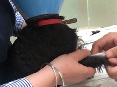 -成都民大动物医院