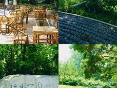 -成都市活水公园