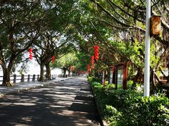 -大湾区中央湿地公园