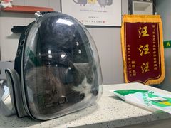 -半岛宠物医院24小时(科华中路店)