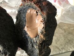 -津乐园(芥园道店)