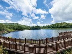 -海南热带雨林国家公园吊罗山景区