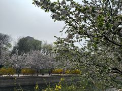 -元大都城垣遗址公园