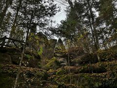 -汤旺河林海奇石景区