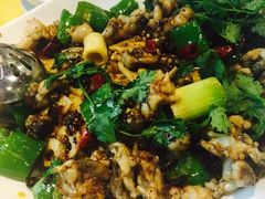 -石头咕(葵蓬店)