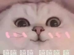 -老头盖浇饭(南京新街口明瓦廊宏光酒店店)