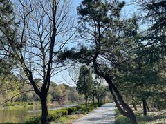 -日照海滨国家森林公园