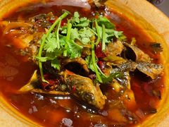 -红辣椒·川菜·火锅(张杨路店)