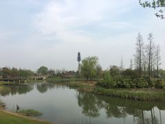 -尚贤河湿地