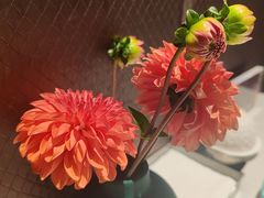 -许家菜(望江店)