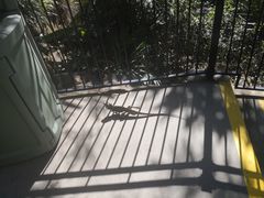 -可伦宾野生动物保护区