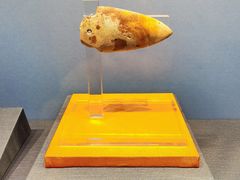 -安徽博物院新馆