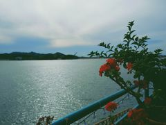 -望湖烤鱼