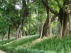 -广州市石门国家森林公园