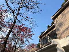 -烈士陵园(地铁站)