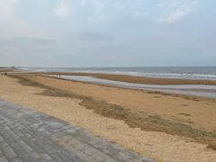-日照海滨国家森林公园