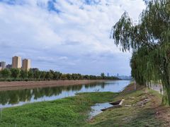 -金银湖国家城市湿地公园