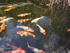 -香麒园·过桥米线·南湖雅宴