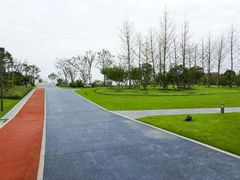-桃花岛公园