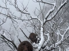 -九华山聚龙大酒店