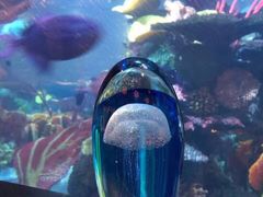 -迪拜帆船酒店海底餐厅