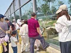 -西霞口神雕山野生动物世界