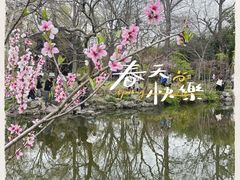 -拙政园