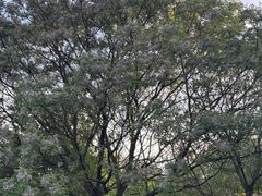 -白塘生态植物园