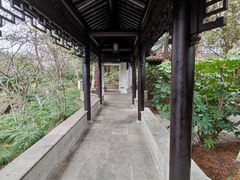 -红梅公园