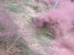 -剪刀石头布家居广场