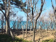 -悦海公园