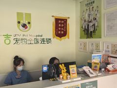 -艾吉宠物医院·疑难杂症转诊中心·猫友好(碧江路院)