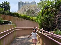 -九龙公园
