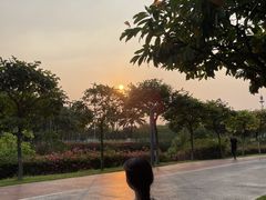 -万绿园