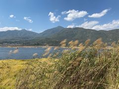 -腾冲北海湿地