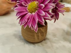 -卓花境Flowerwonderland花店
