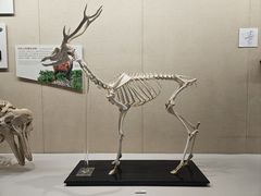 -广东省博物馆