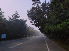 -日照海滨国家森林公园