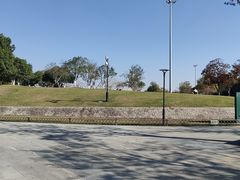 -桐乡植物园